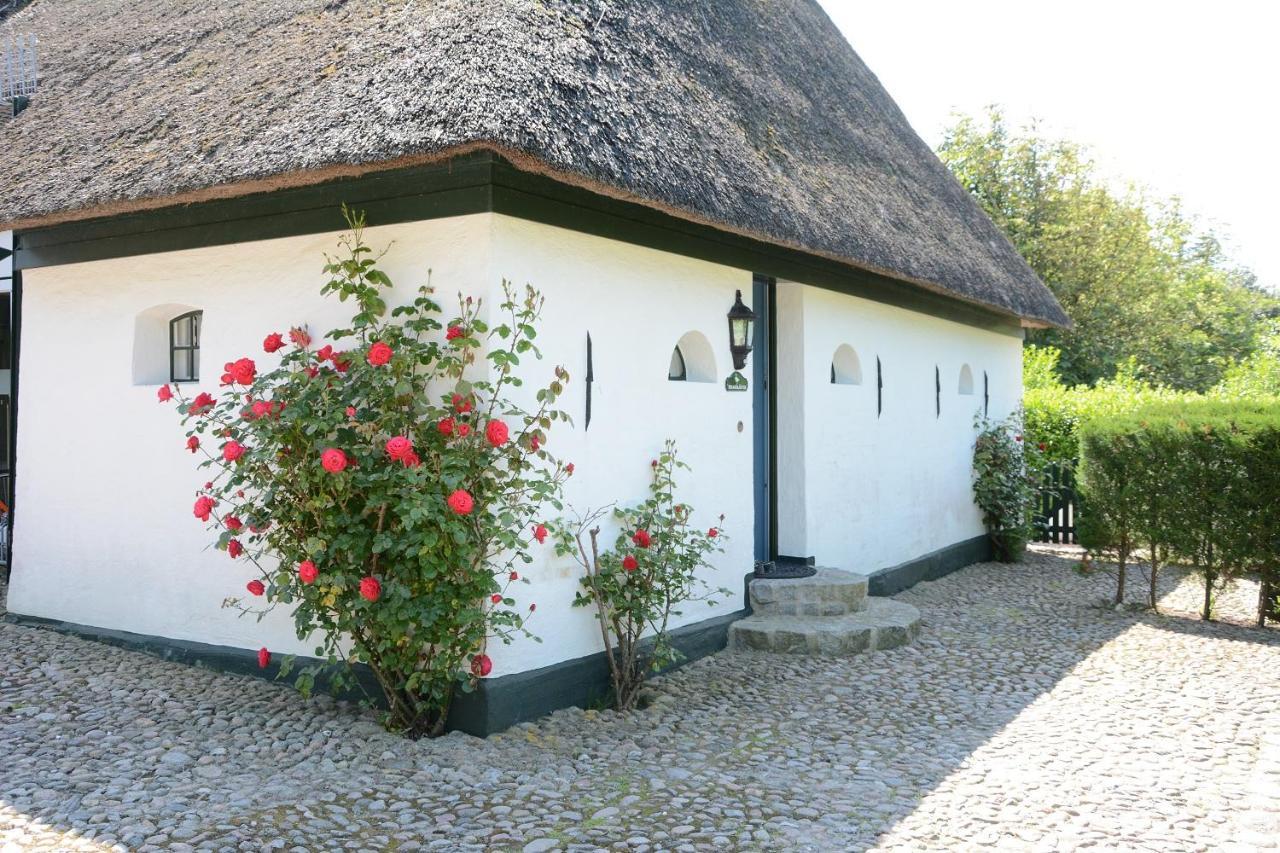 Villa Foehrienhaus Midlum  Esterno foto
